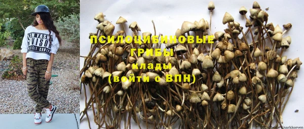 дживик Пролетарск