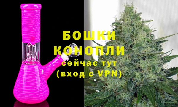 шишки Приозерск