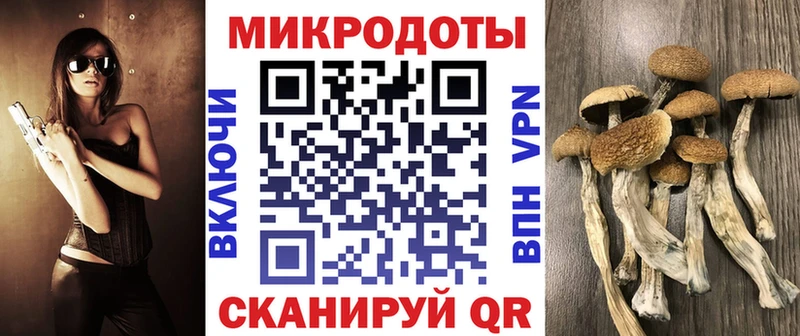 Псилоцибиновые грибы мицелий  Грязовец 